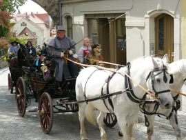 Pferdekirmes Pferdekirmes